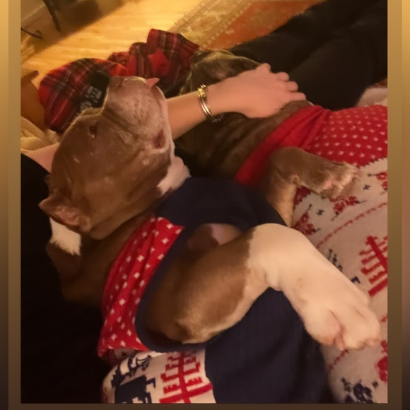 Meet your Posher, Catherine - Picture 6 of 9